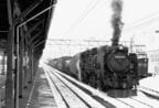北陸本線で貨物列車を牽引するD51