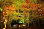 紅葉のライトアップも美しく、11月頃に見頃を迎える
