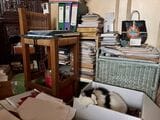 本や資料に囲まれて眠る水くん（筆者撮影）