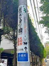 電柱広告