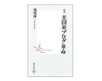 ルポ　米国発ブログ革命　池尾伸一著