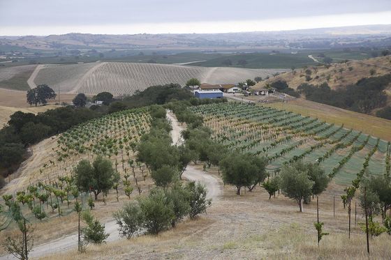 干ばつでカリフォルニアワインはどうなる The New York Times 東洋経済オンライン 経済ニュースの新基準