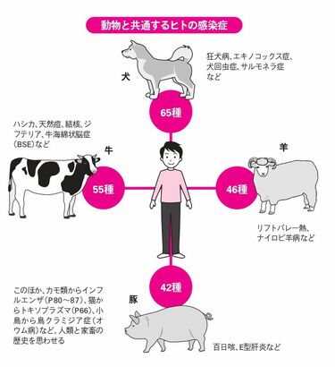 感染症はなぜ広がる？人類悩ます｢残念な真実｣ 新しく出現した感染症の6