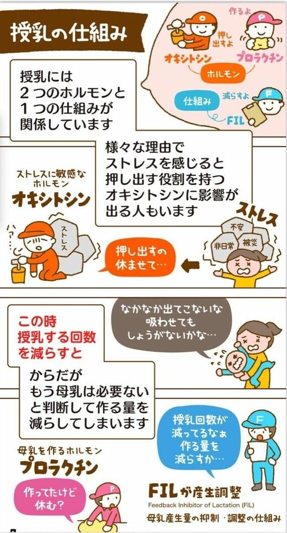 母乳の仕組み