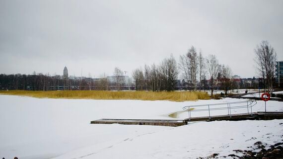 フィンランドの冬