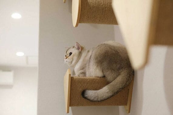 多頭飼いできるよう、さまざまな工夫を凝らす