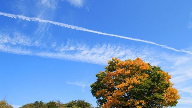 納得 天気のことわざ が意外と当たるワケ 天気 天候 東洋経済オンライン 社会をよくする経済ニュース