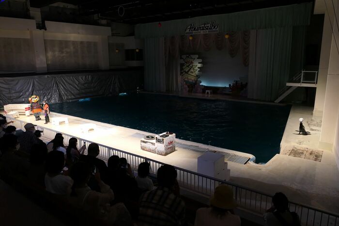 いるか・あしかパフォーマンス