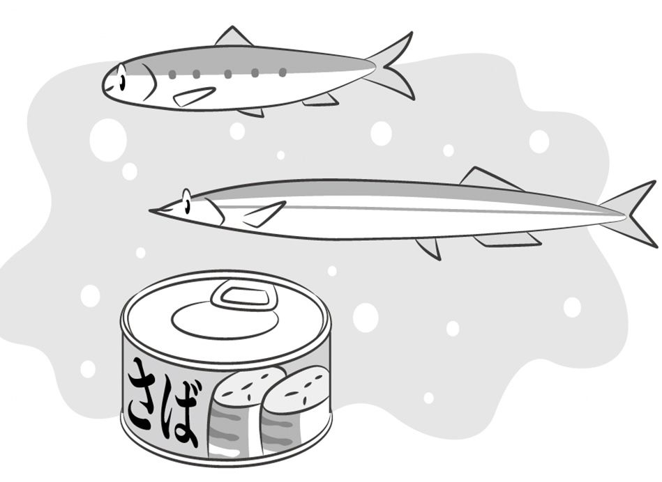 青魚