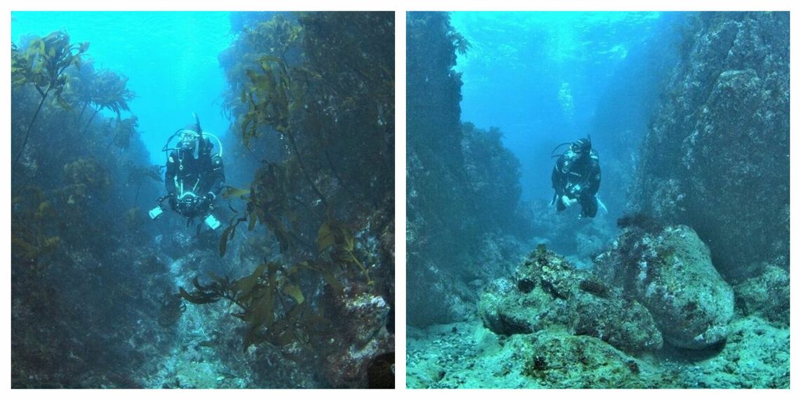 海藻が繁茂していた江の島の海（写真左。2012年2月撮影、水温13度）と海藻が消滅し、岩肌だらけの江の島の海（写真右。2020年3月撮影、水温17度）（写真：武本匡弘氏提供）