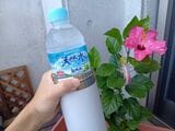 550mlの天然水も問題なく入ったが⋯⋯心なしか蓋を開けるときに滑る感覚があった（著者撮影）