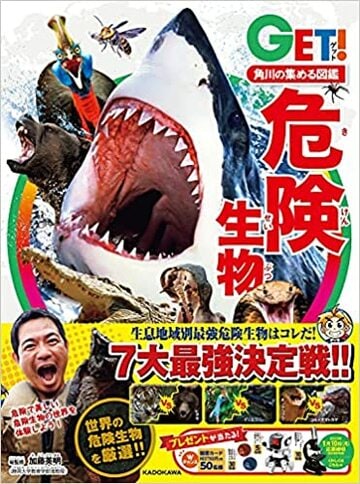 実は警戒心が強い サメ が人を襲う意外な理由 雑学 東洋経済オンライン 社会をよくする経済ニュース