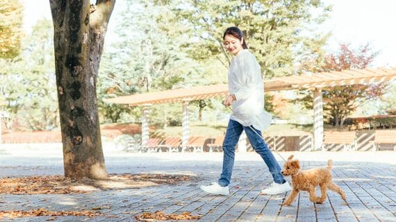 犬の散歩をする人
