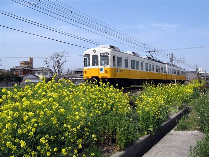 高松琴平電気鉄道（ことでん）の電車