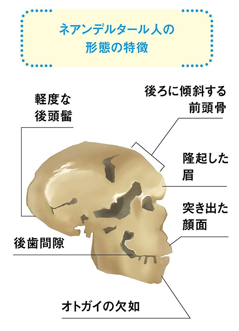 人類の起源