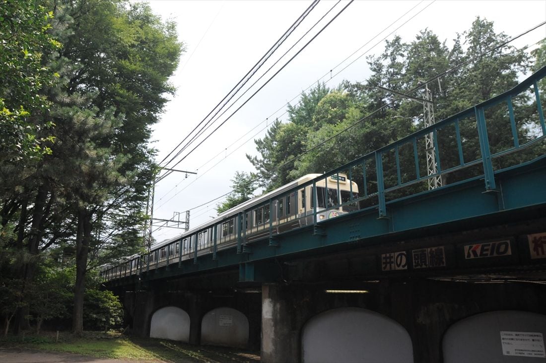 井の頭公園内を高架で走り抜ける京王井の頭線の電車（筆者撮影）