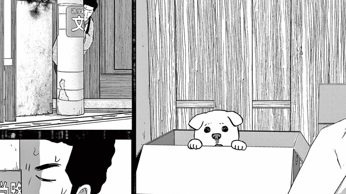 放蕩息子が拾った｢白い子犬｣…成長後の驚きの姿 | ヴィンテージ・トーキョー | 東洋経済オンライン