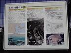 鴻臚館発掘作業の説明ボード