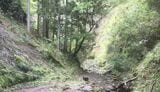 約12キロのハイキングコースにもなっている梅ヶ瀬渓谷（筆者撮影）