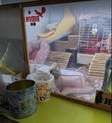 （写真提供：まる子さん）