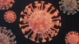 新型コロナウイルスの感染経路で明らかになっていることを解説します（写真：Pepino／PIXTA）