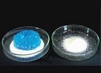 紙おむつ“影の主役” 日本触媒SAPとDNA《下》