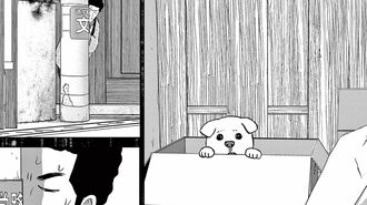 放蕩息子が拾った｢白い子犬｣…成長後の驚きの姿