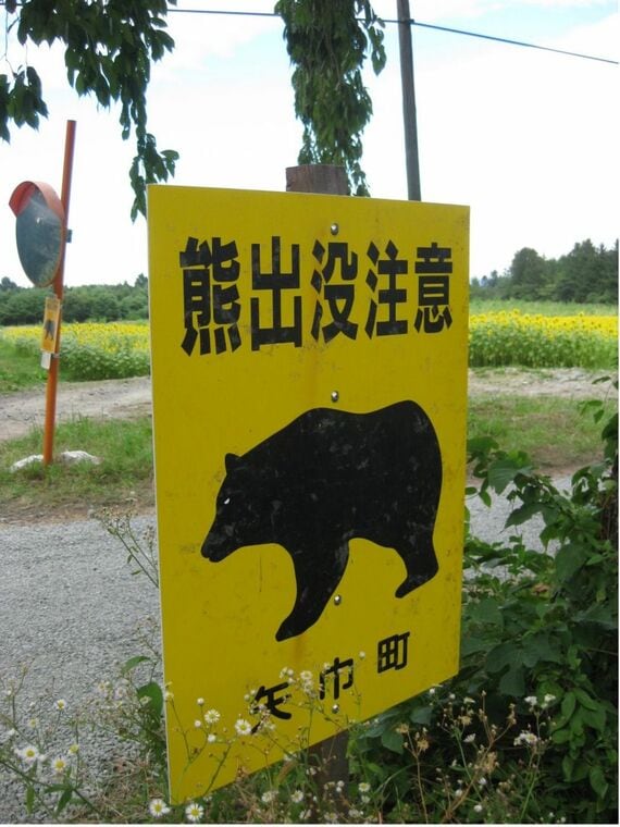 クマ注意を呼び掛ける看板