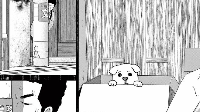 放蕩息子が拾った｢白い子犬｣…成長後の驚きの姿