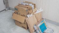業界2位の日本製紙の時価総額が3位のレンゴーと4位の大王より下となった製紙の構造要因…｢脱製紙｣での生き残りの成否