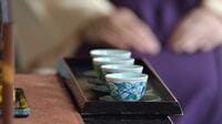 老中｢松平定信｣と将軍｢徳川家斉｣狂気対決の行方