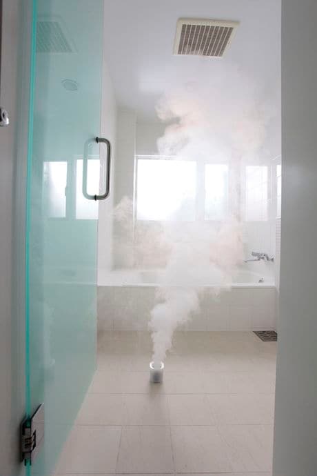 お風呂で煙をたく カビ取り剤が売れるワケ 溺愛されるのにはワケがある 東洋経済オンライン 経済ニュースの新基準