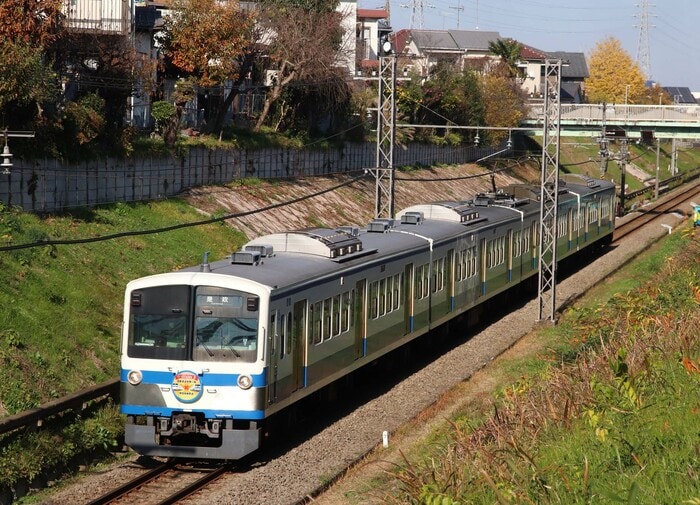 西武多摩川線を走る101系