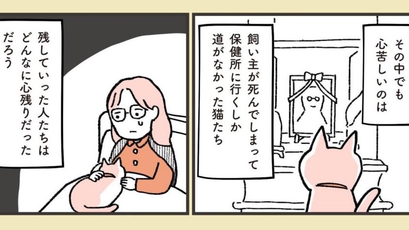 ネコリパブリックHP