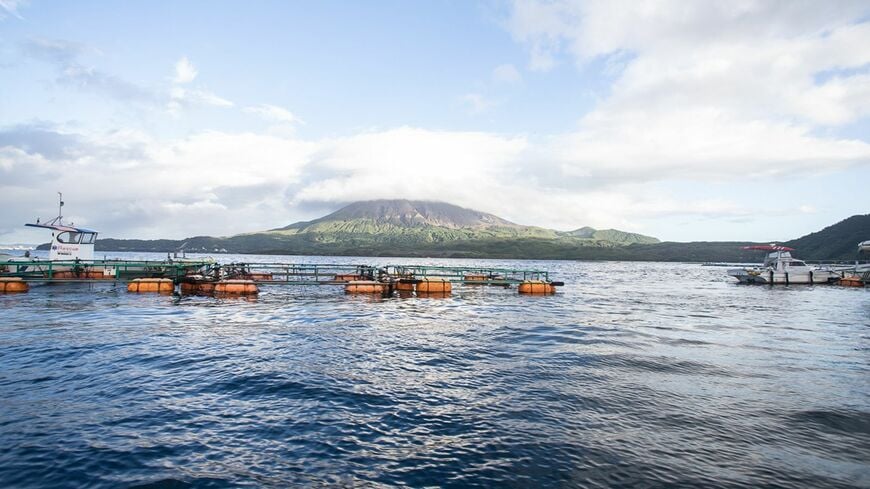鹿児島県垂水市にある垂水市漁協。養殖カンパチの生産量日本一として知られていますが、カンパチ養殖を成功させるうえでは様々な苦労がありました（写真：著者撮影）
