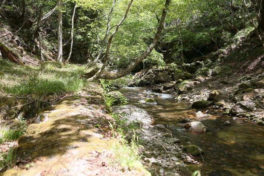 高校では片品村の自然環境への理解も深めた（写真：筆者撮影）