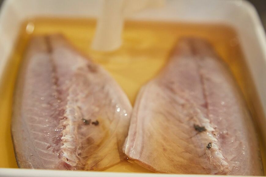 （写真：吉澤健太） 