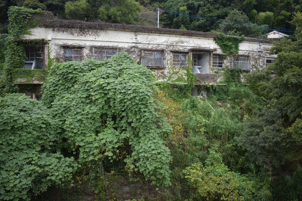 緑に覆われたままのB棟（筆者撮影）