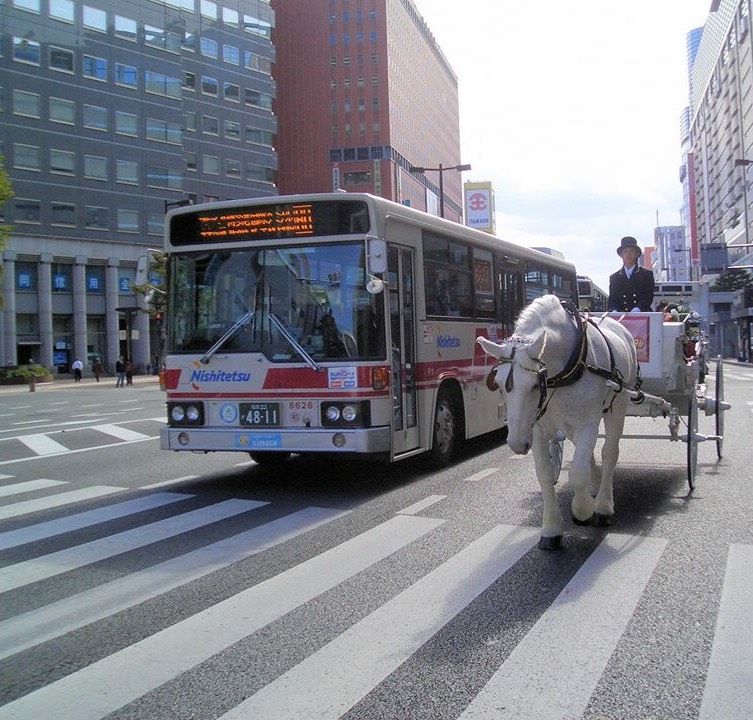 公道を歩く白馬