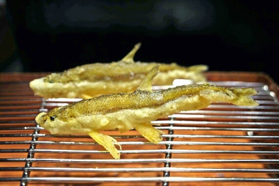 日本橋天ぷら ふじなみのししゃも（写真：筆者撮影）