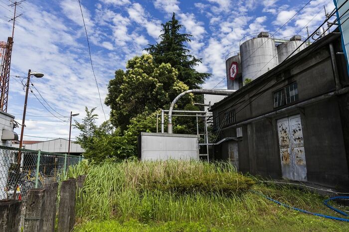 この草むす一角にもキッコーマン工場への