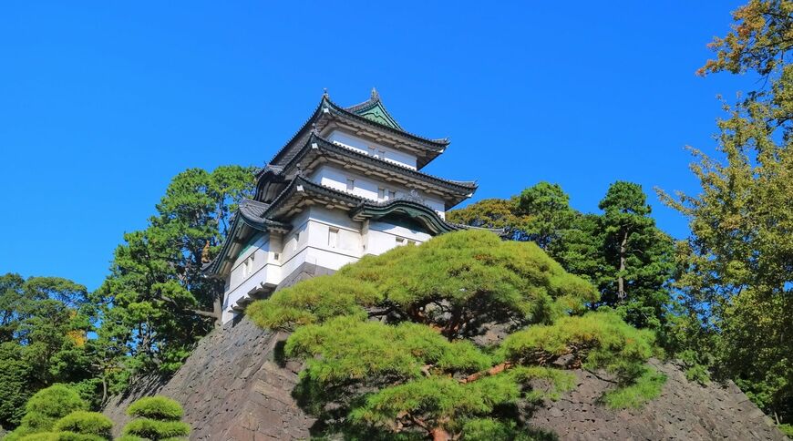 どうする家康 大河ドラマ