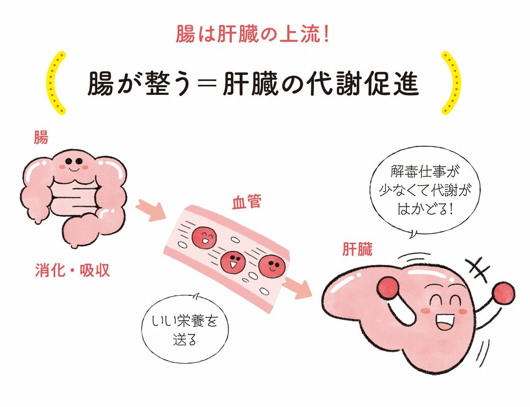 肝臓から脂肪を落とす｢朝のみそ汁｣有効な摂り方 医師が解説｢やせない人は肝機能に問題あり｣（東洋経済オンライン）｜ｄメニューニュース（NTTドコモ）