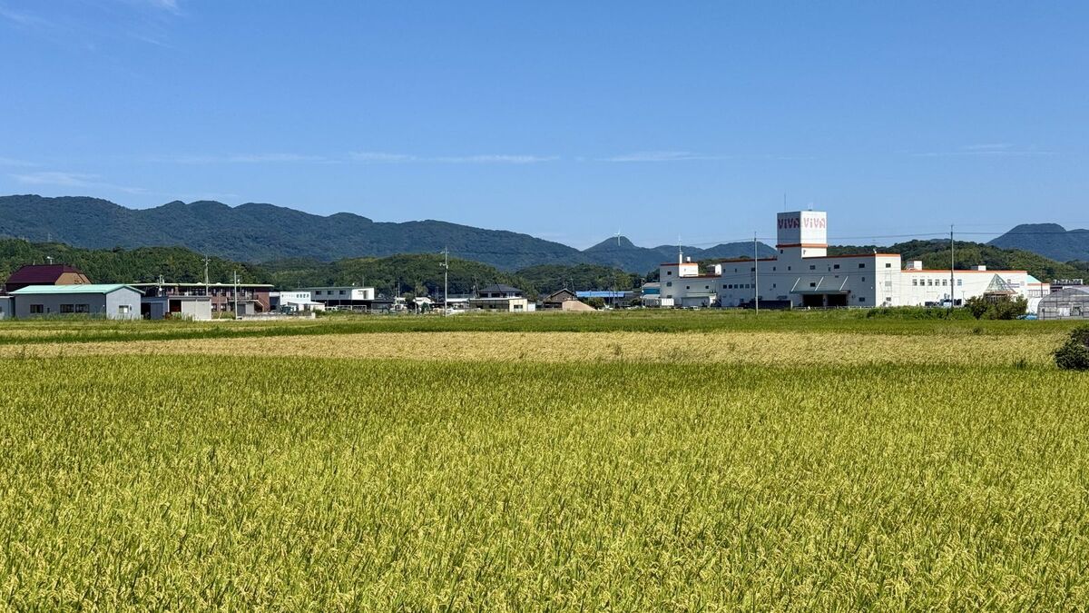 開業時に社長が｢採算が合うのか｣と漏らしていた⋯ゆめタウンとの戦いに敗北｢島根の旧ジャスコ｣に見る"都市の変容" | ライフ | 東洋経済オンライン