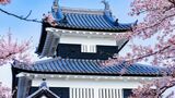 大河ドラマ べらぼう 蔦屋重三郎 松平定信