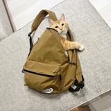 袋類が大好きなぐっぴー。これはお客さんのバッグ。猫を飼っているお客さんが来ると、丹念にニオイチェックをするそう（写真：Domani）