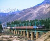 EF16形とEF65形の重連が牽引する上越線の貨物列車（撮影：南正時）