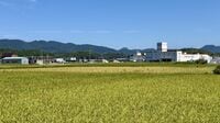 開業時に社長が｢採算が合うのか｣と漏らしていた⋯ゆめタウンとの戦いに敗北｢島根の旧ジャスコ｣に見る"都市の変容"