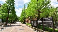 「大学無償化の甘い罠」苦学生を救うどころか、その先には不都合な未来が待っている