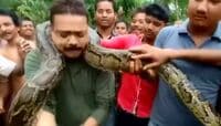 ヘビ捕獲男性､セルフィーを試みて窒息危機 同僚に助けてもらい､危機を免れた